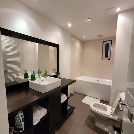 Apartament Elisse Apartment Cluj-Napoca